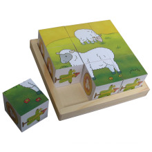 Pädagogische Wooden Cube Puzzle Holzspielzeug in einem Tablett